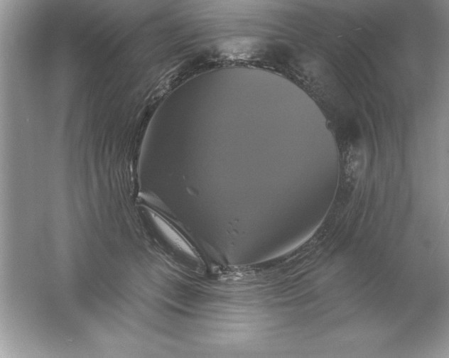 X0000061750559200512161720