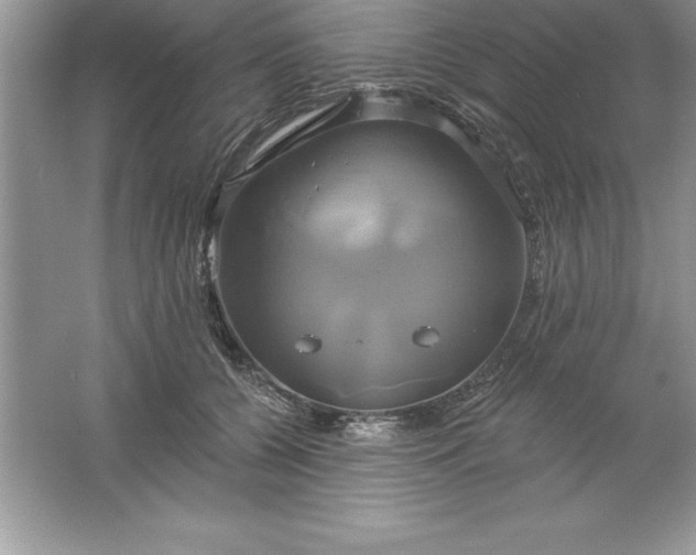 X0000061750560200512161720