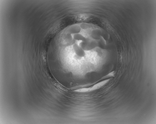 X0000061750561200512161720