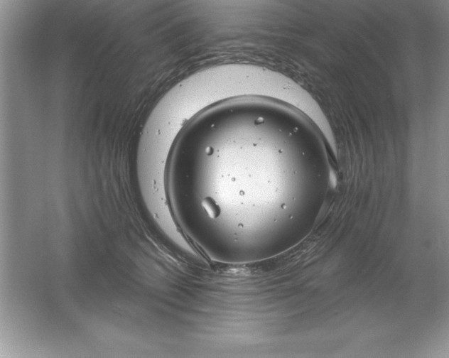 X0000061750562200512161720