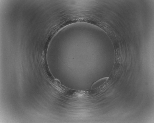 X0000061750563200512161720