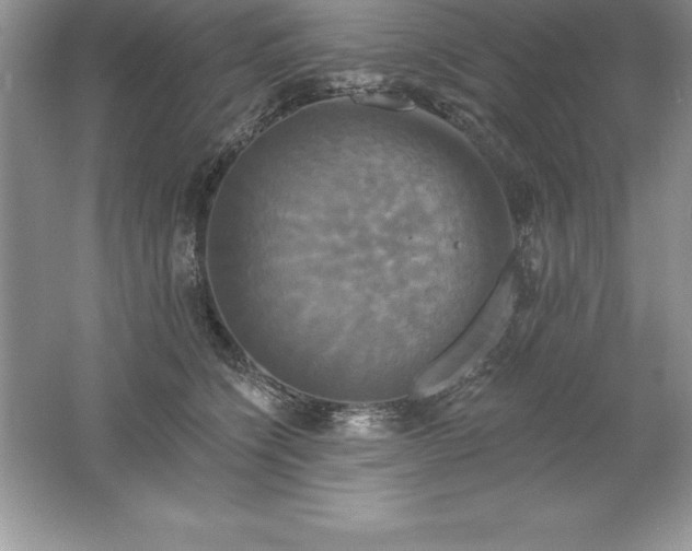 X0000061750564200512161720