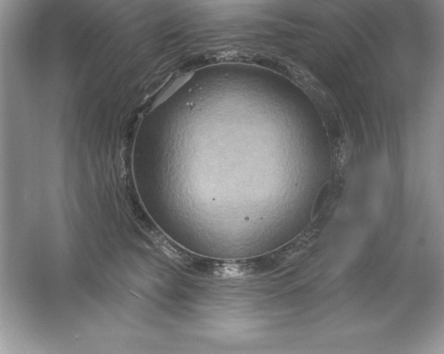 X0000061750565200512161720