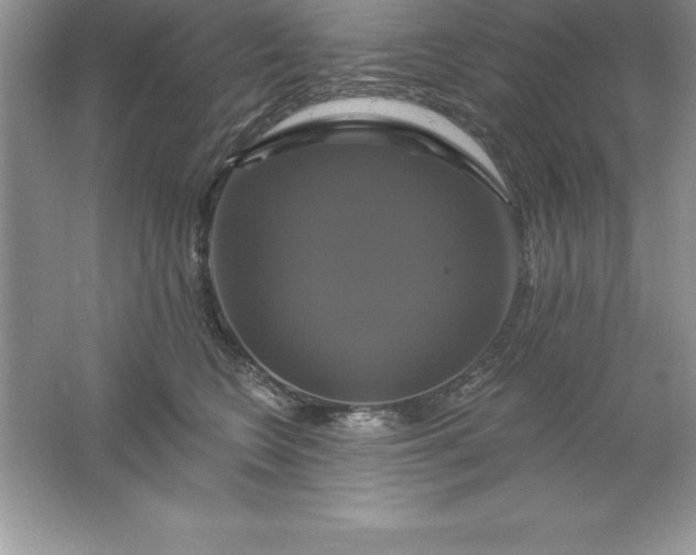 X0000061750566200512161720