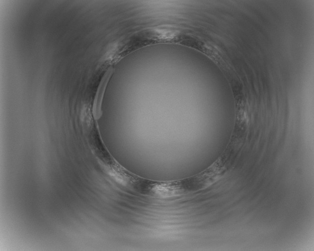 X0000061750568200512161720