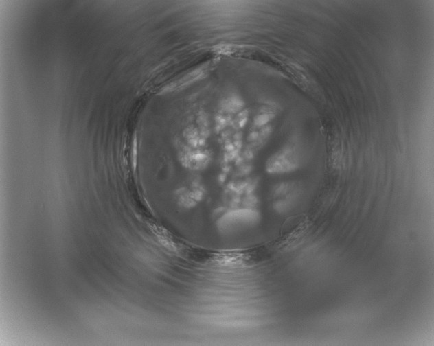 X0000061750569200512161720