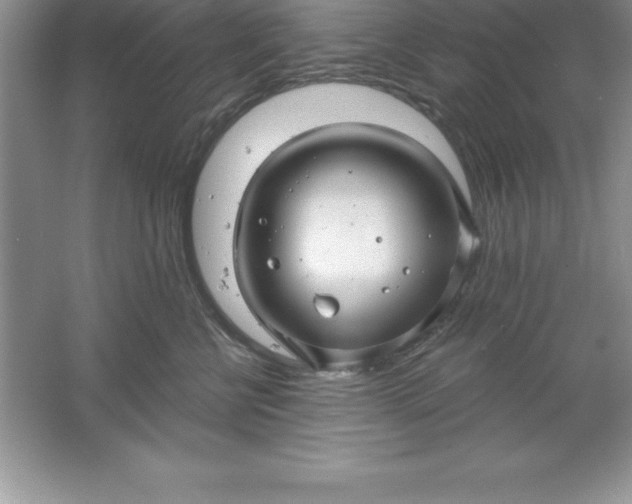 X0000061750570200512161720