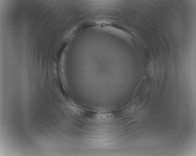 X0000061750571200512161720