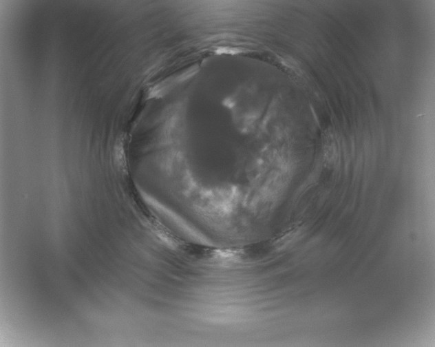 X0000061750573200512161720