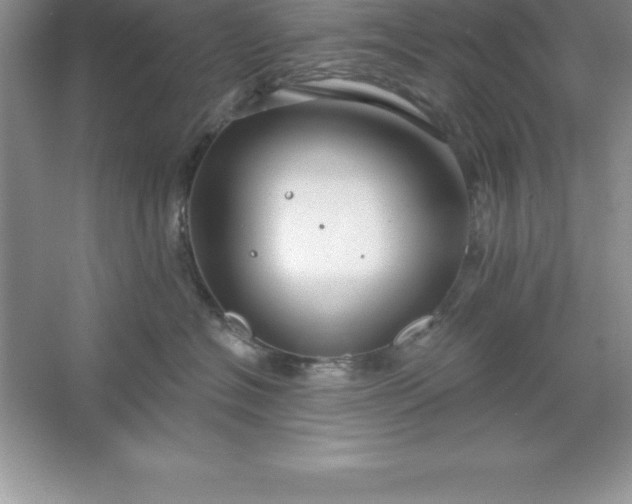 X0000061750574200512161720