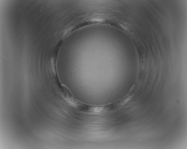 X0000061750575200512161720