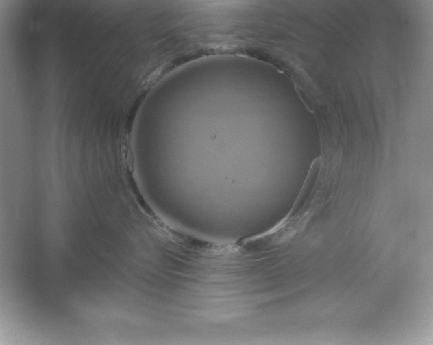 X0000061750576200512161720