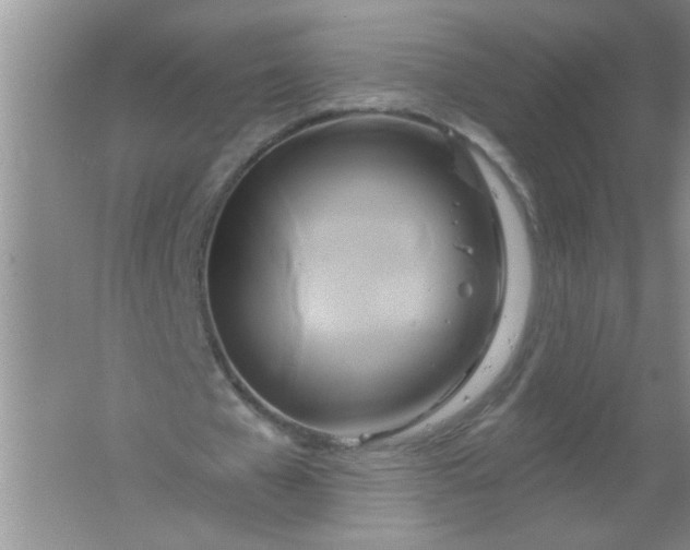 X0000061750577200512161719