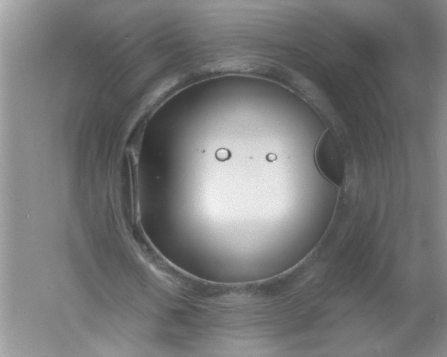 X0000061750578200512161719