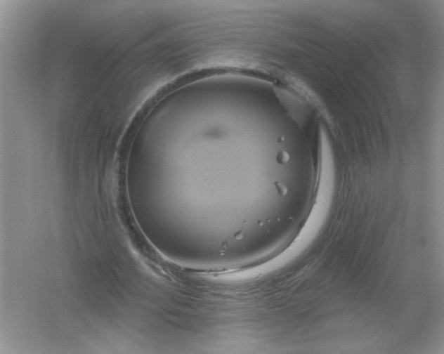 X0000061750580200512161719