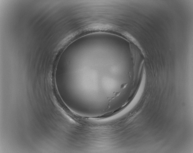 X0000061750581200512161719