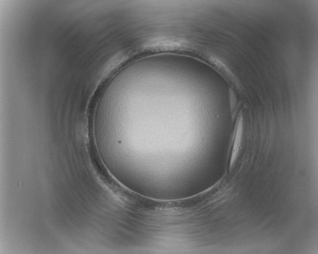 X0000061750582200512161719