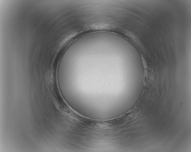 X0000061750583200512161719