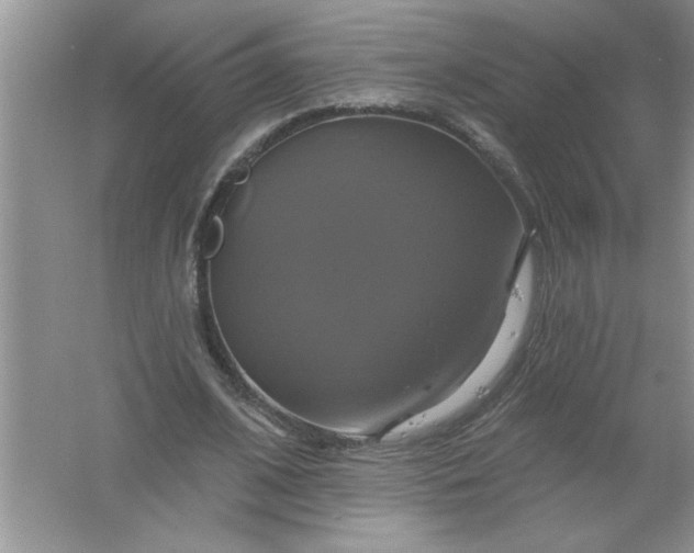 X0000061750584200512161719