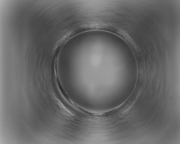 X0000061750585200512161719