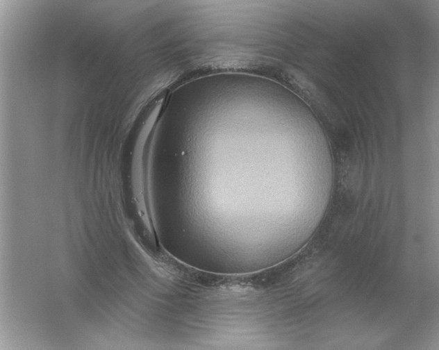 X0000061750586200512161719