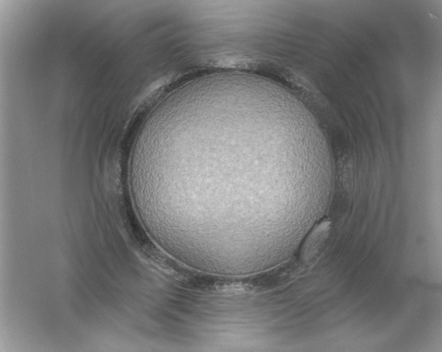 X0000061750587200512161719