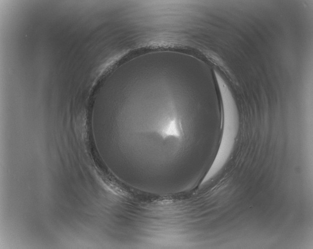 X0000061750588200512161719