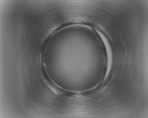 X0000061750589200512161719