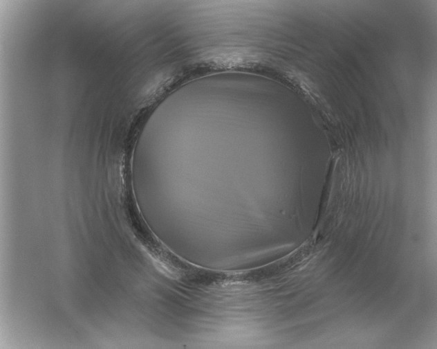 X0000061750590200512161719