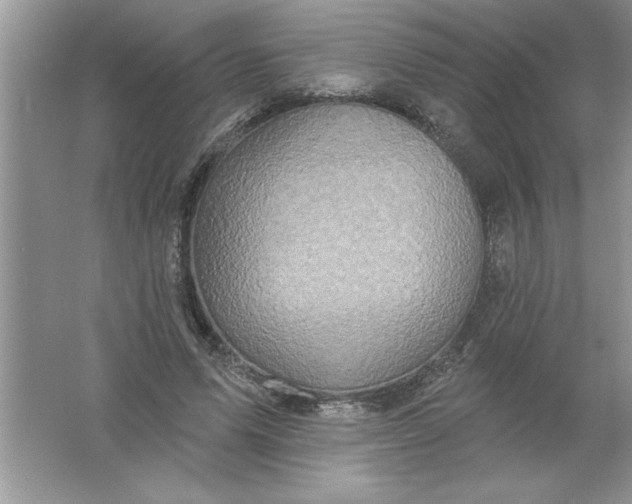 X0000061750591200512161719