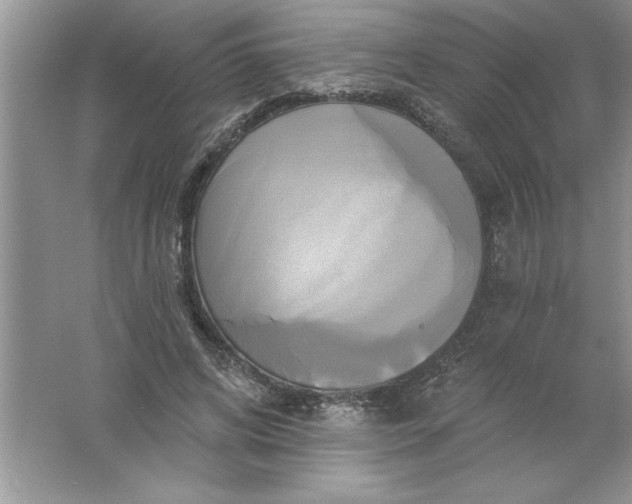 X0000061750592200512161719