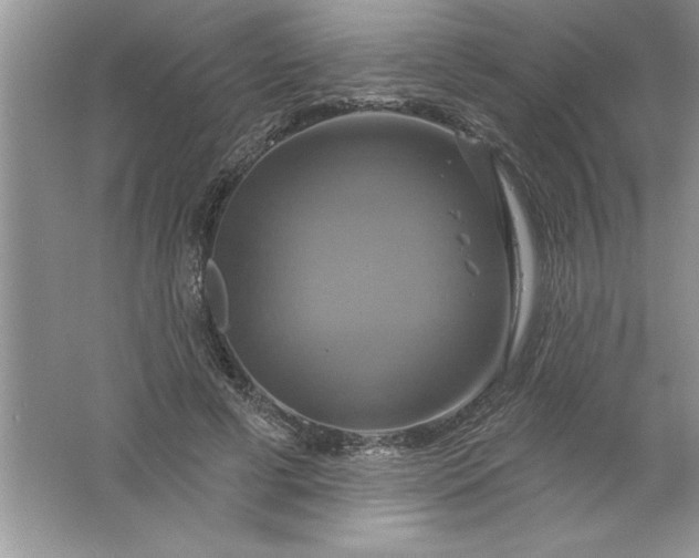 X0000061750593200512161719