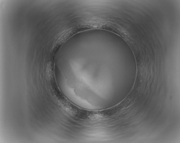 X0000061750594200512161719