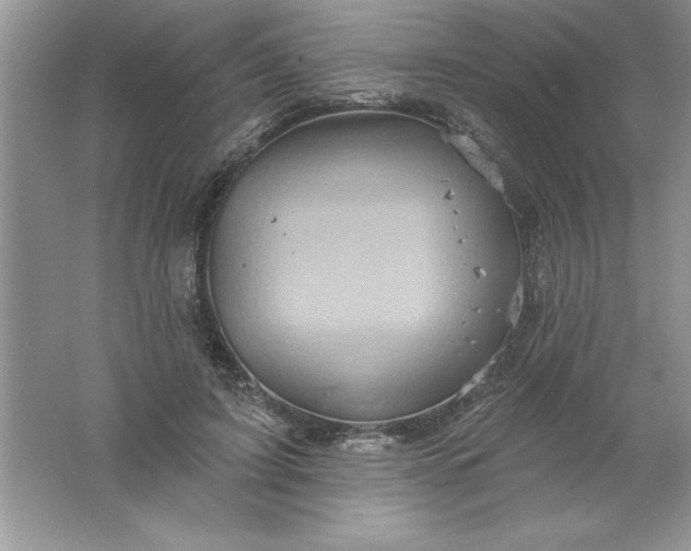 X0000061750595200512161719