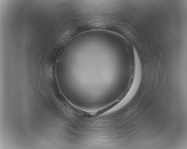 X0000061750597200512161719