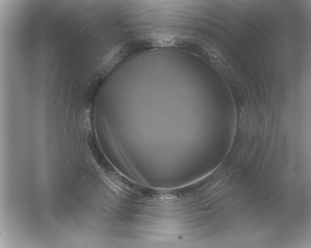 X0000061750598200512161719