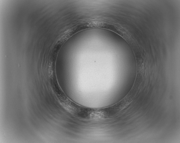 X0000061750599200512161719