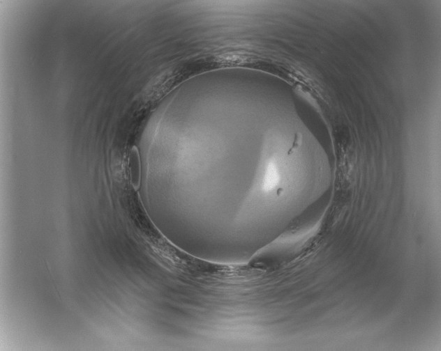 X0000061750601200512161719