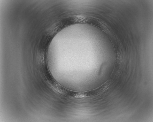 X0000061750602200512161719