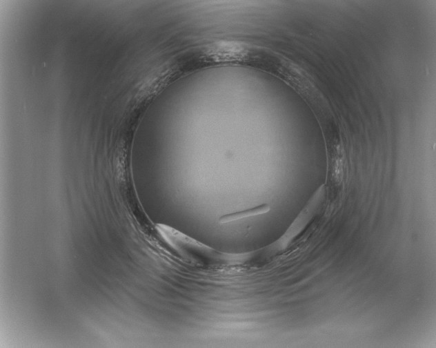 X0000061750604200512161719