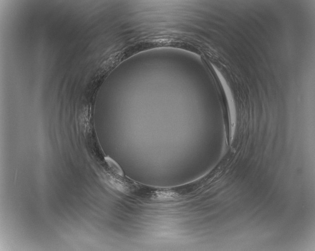 X0000061750605200512161719