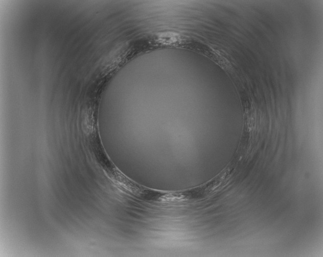 X0000061750606200512161719