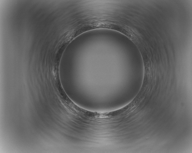 X0000061750607200512161718