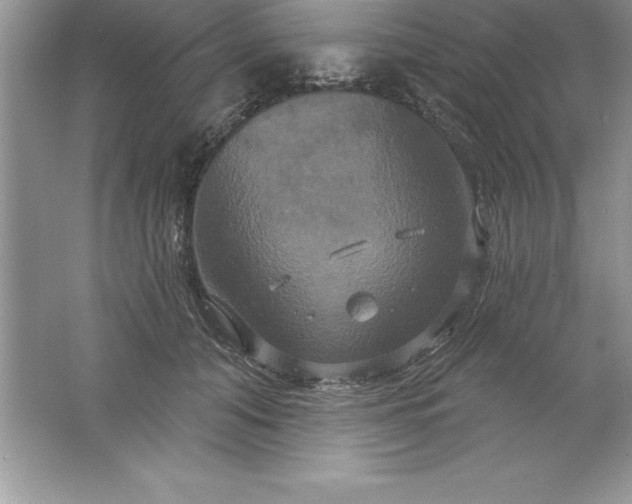 X0000061750608200512161718