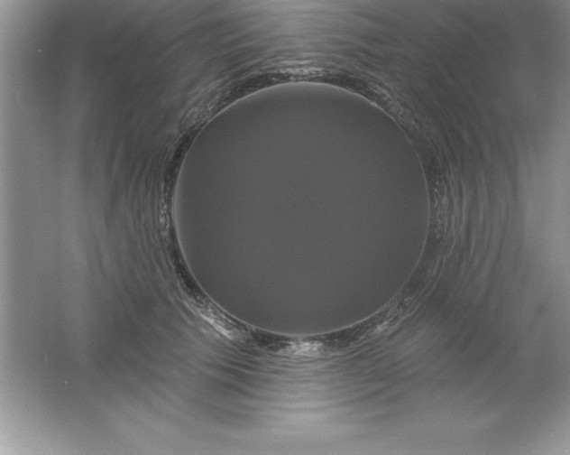 X0000061750609200512161718