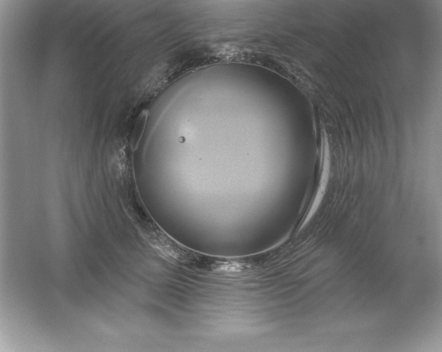 X0000061750611200512161718