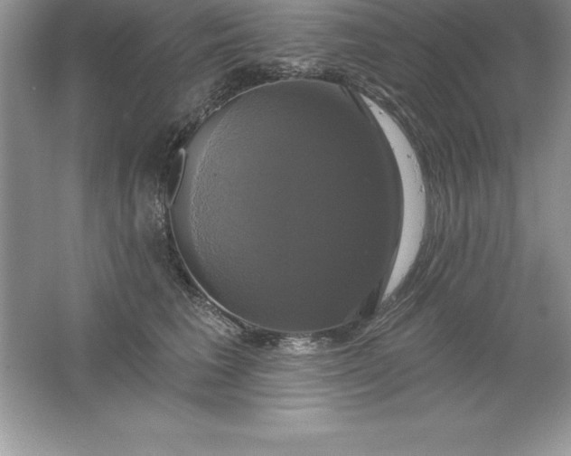 X0000061750613200512161718