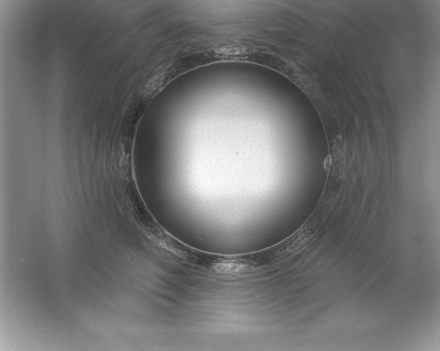 X0000061750614200512161718