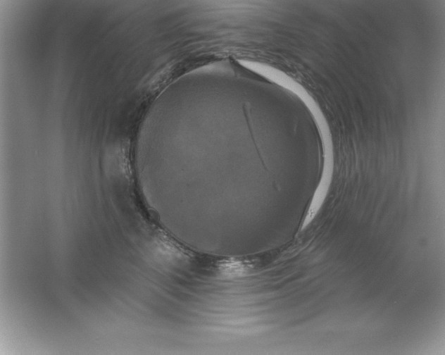 X0000061750616200512161718