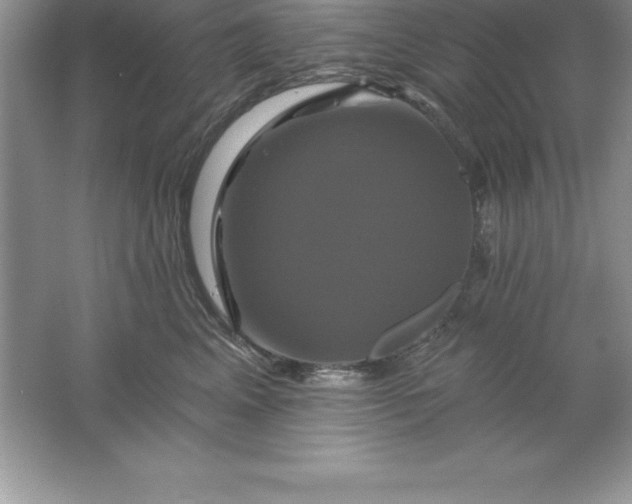 X0000061750617200512161718